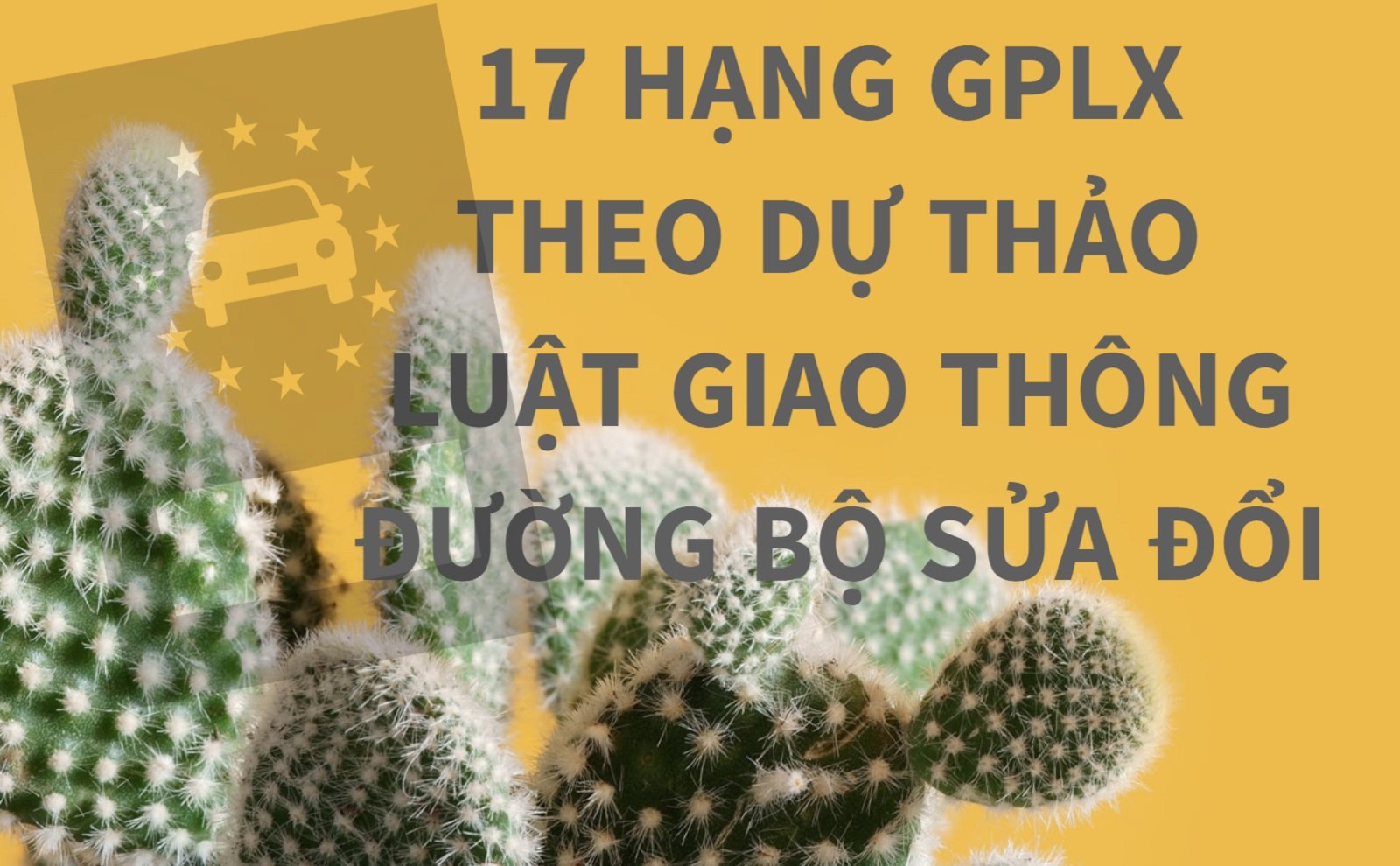 bang-lai-xe-theo-du-luat-giao-thong-duong-bo-sua-doi-di-exciter-winner-phai-thi-