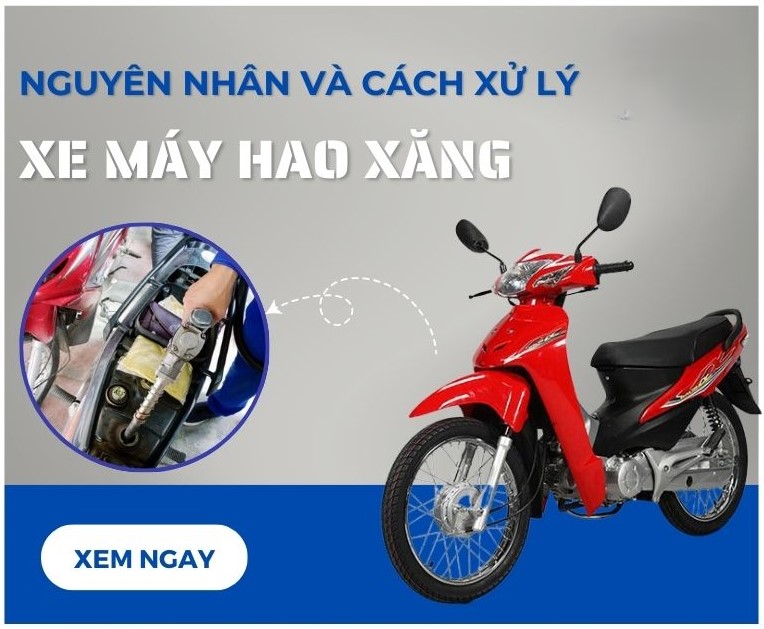 xang-tang-gia-dung-de-xe-ngon-tien-cua-ban