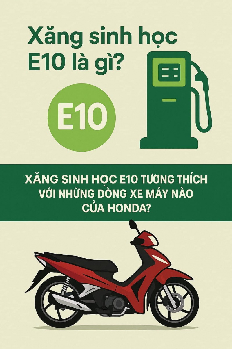 thong-bao-ky-thuat-su-dung-xang-sinh-hoc-e10-tu-01-06-2026