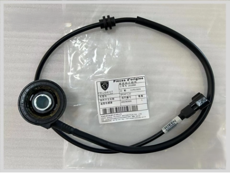 day-cam-bien-toc-do-peugeot-django