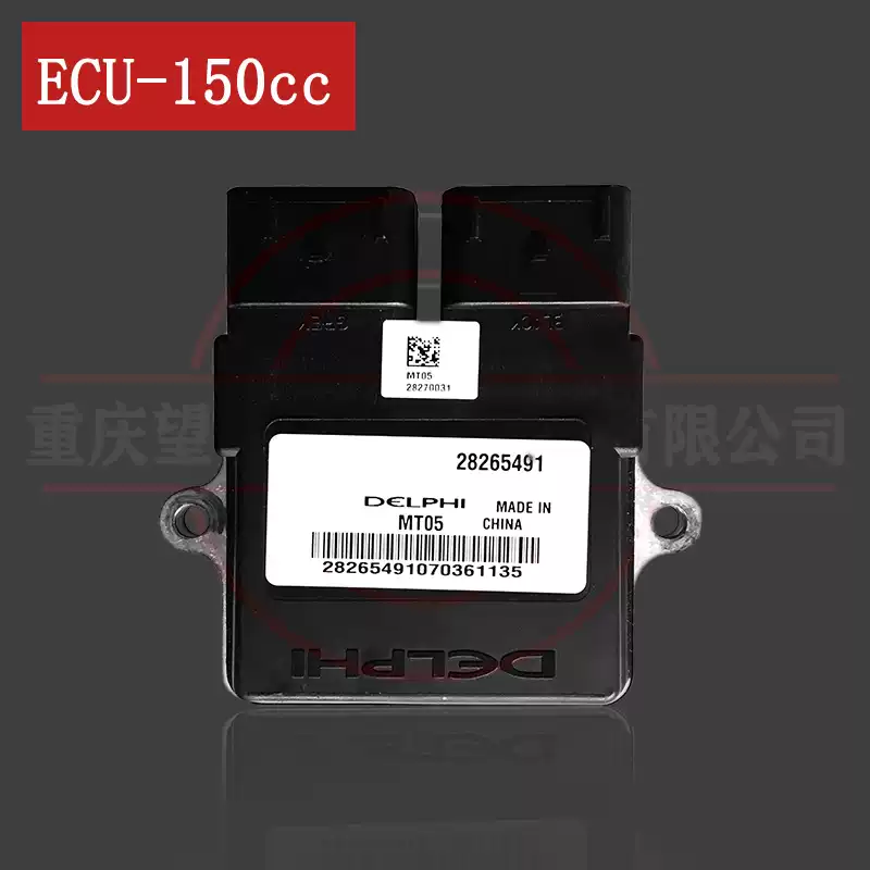ECU IC xe Brixton 150cc Delphi MT05 mã 28265491 tại Đà Nẵng