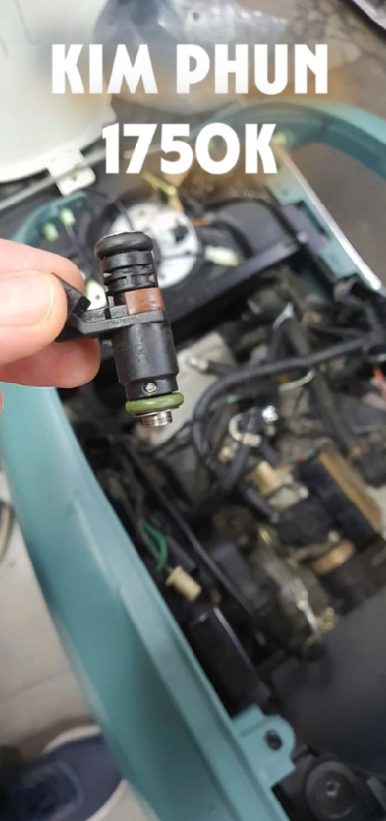 kim phun peugeot django