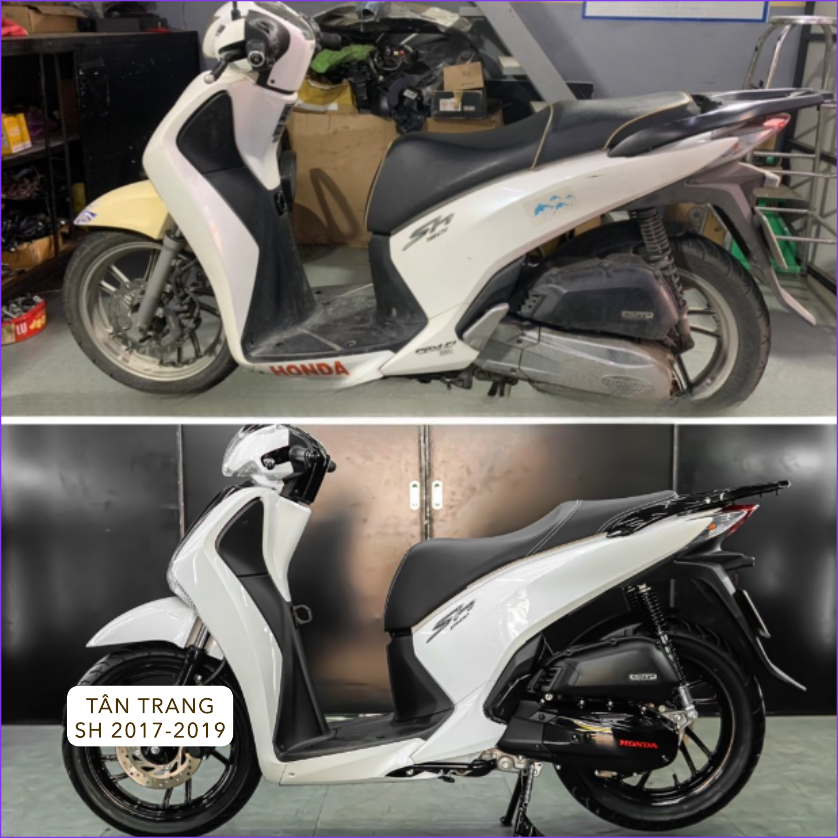 sh-2017-2019-tan-trang