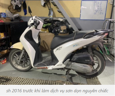 sh-2017-2019-son-don