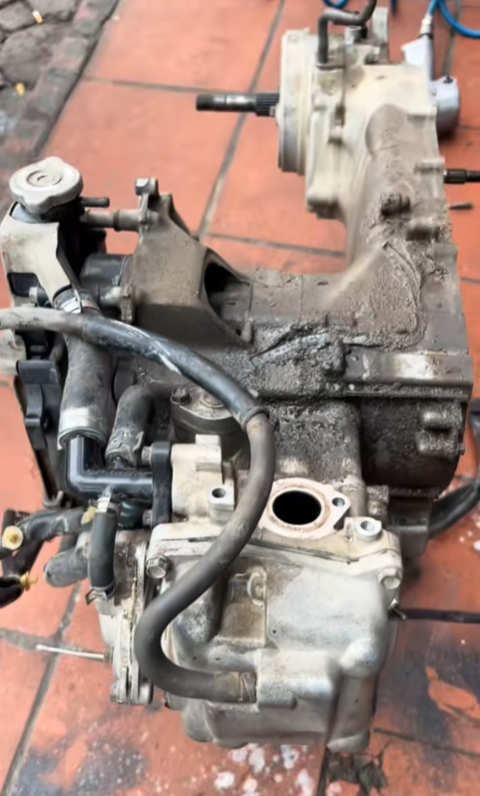 phuc hoi sh 2015 da nang