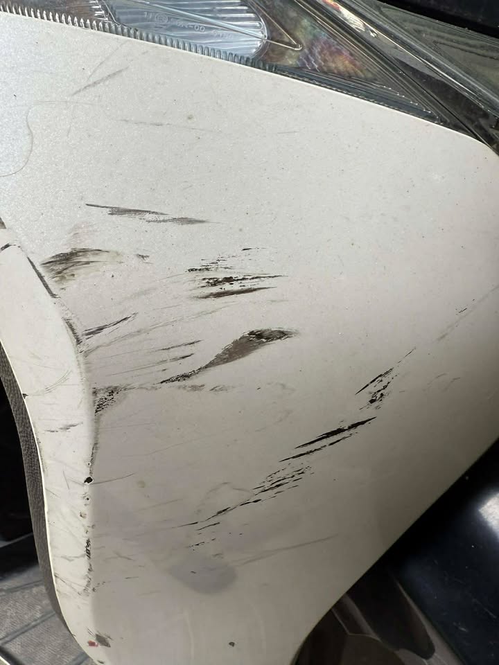 son-xe-sh-mode-da-nang-gia-tot-chuan-mau