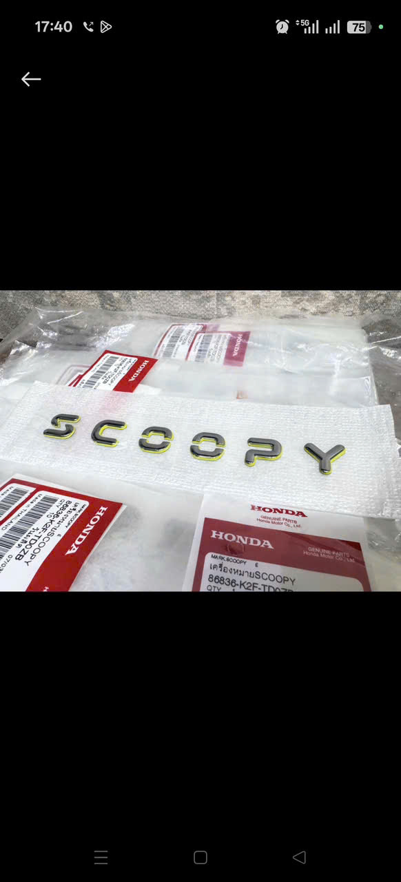 tem scoopy theo doi 2016 2018 2022 2025