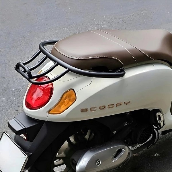 baga-cong-scoopy