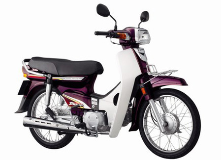 bo-nhua-dream-vn