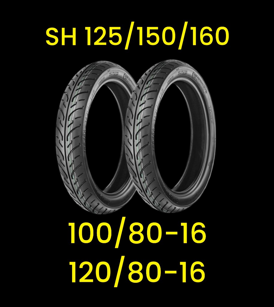 lop-xe-dat-bike-quantum-s1-s2-s3-gia-bao-nhieu-nen-thay-loai-nao-tot-nhat