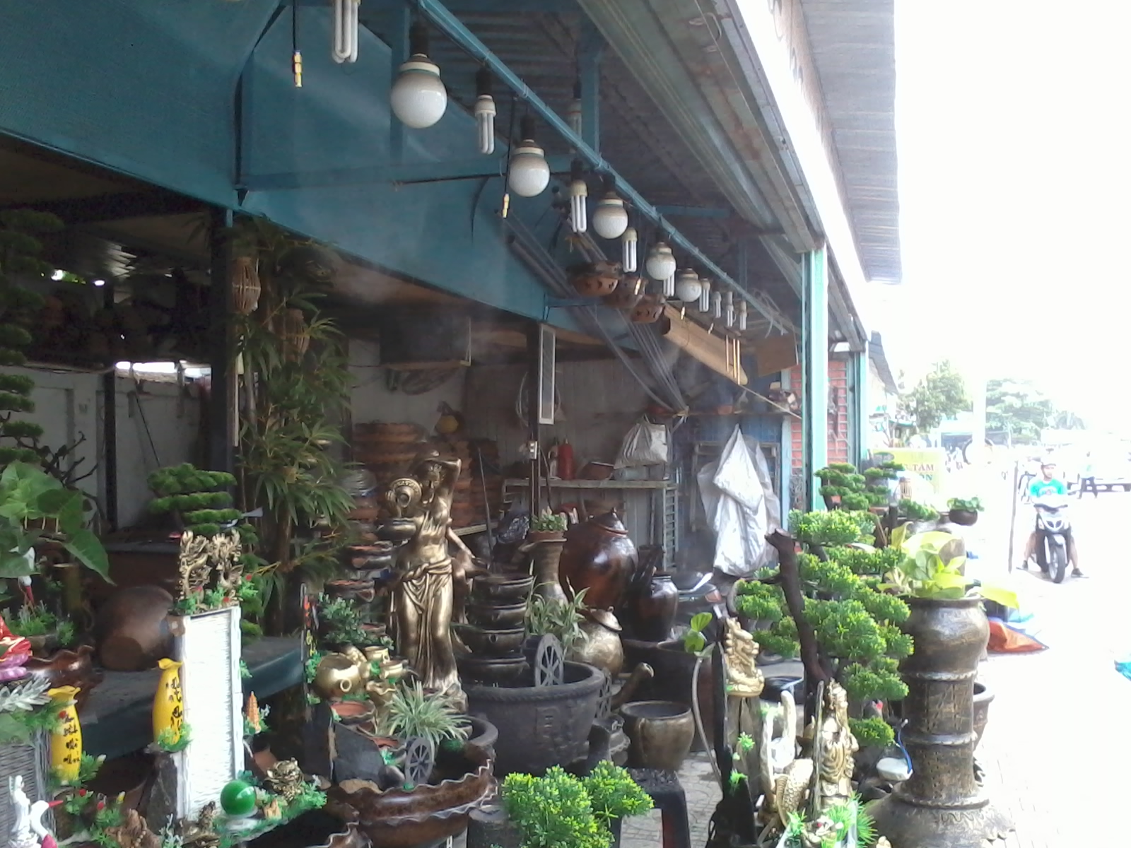 lắp đặt phun sương cửa hàng bon sai cây cảnh