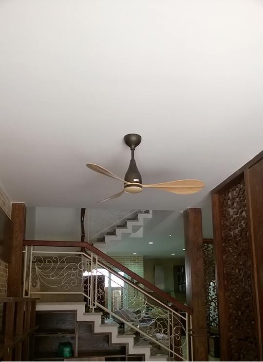 Quạt trần ROYAL PAGAIA
