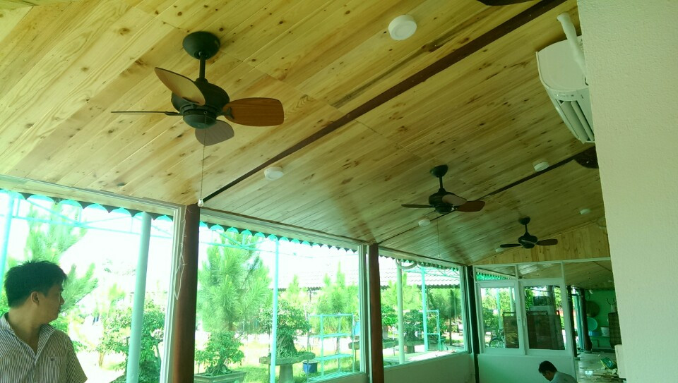 Quạt trần Royal Mini sải cánh ngắn