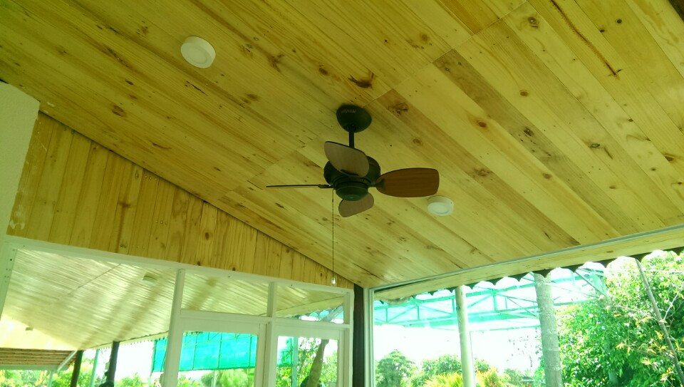 Quạt trần Royal Mini sải cánh ngắn