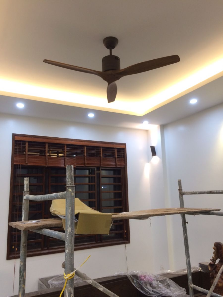Quạt trần ROYAL SOLID