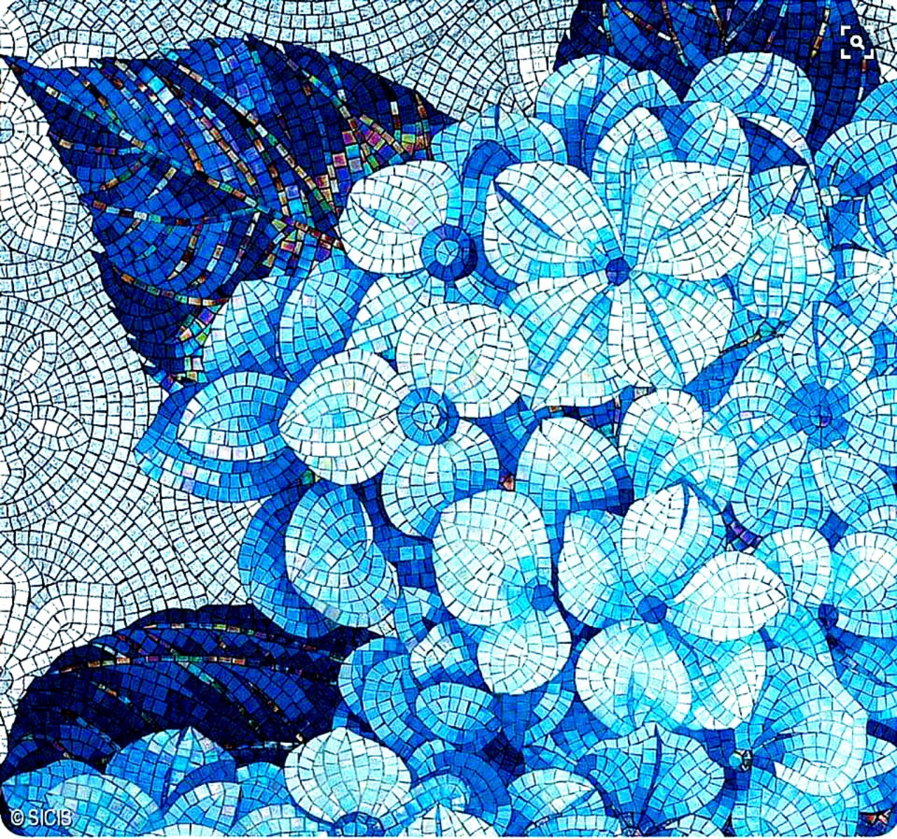 Tranh Gốm Mosaic Cẩm tú cầu