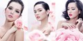 Rose Beauty -  Rose Beauty -