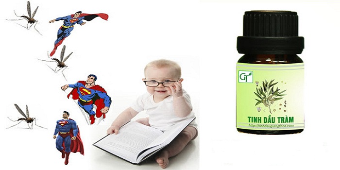 Công dụng không ngờ của tinh dầu tràm trong cuộc sống