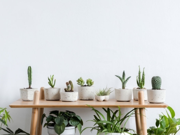 Thể hiện sự tinh tế và bền chặt mối quan hệ với nhau 