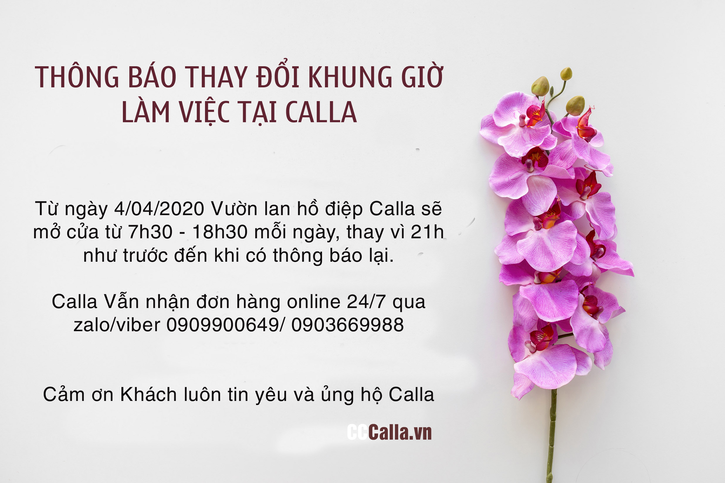 THÔNG BÁO THAY ĐỔI KHUNG GIỜ MỞ CỬA TẠI CALLA