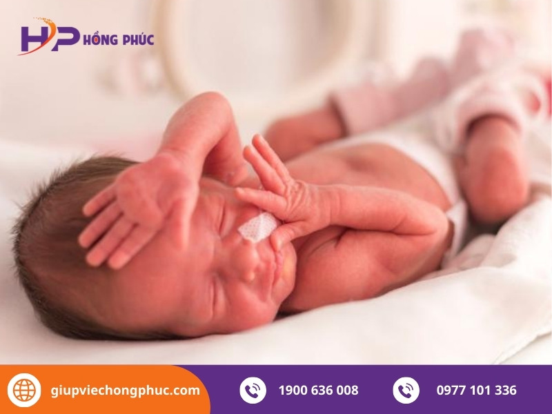 Hướng dẫn toàn tập cách chăm sóc bé sinh non tại nhà an toàn