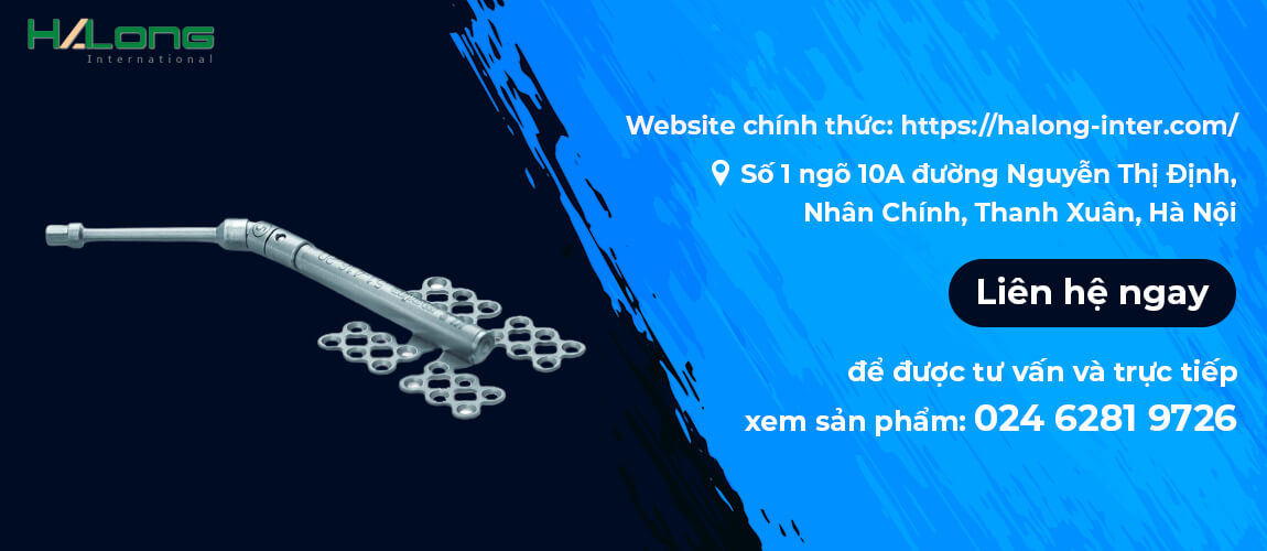 cong-ty-co-phan-quoc-te-ha-long