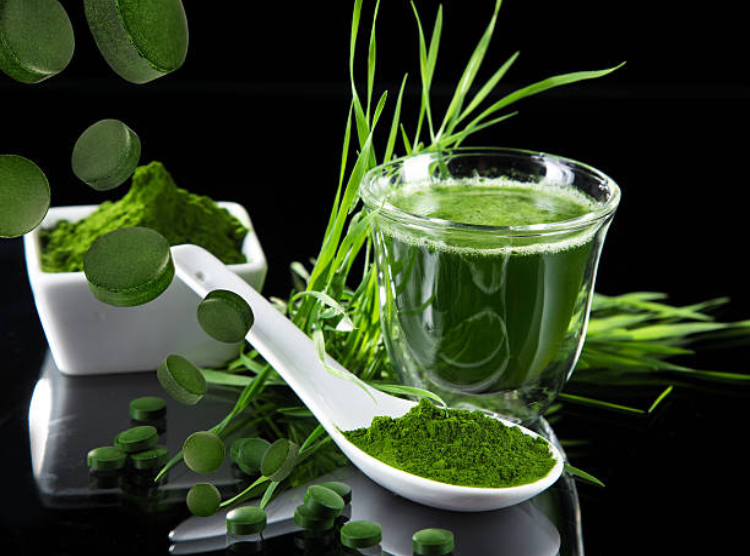 các loại tảo xoắn spirulina