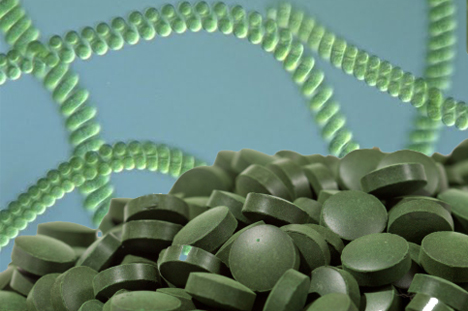 Chăm sóc sức khỏe mỗi ngày với viên Tảo xoắn Linaspina