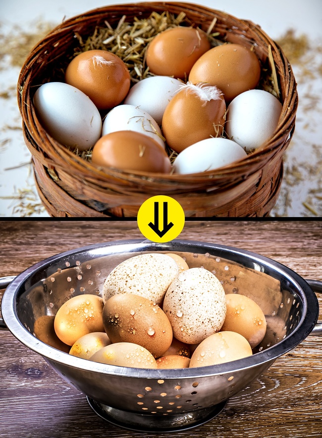 tác hại của vỏ trứng gà, trứng vịt