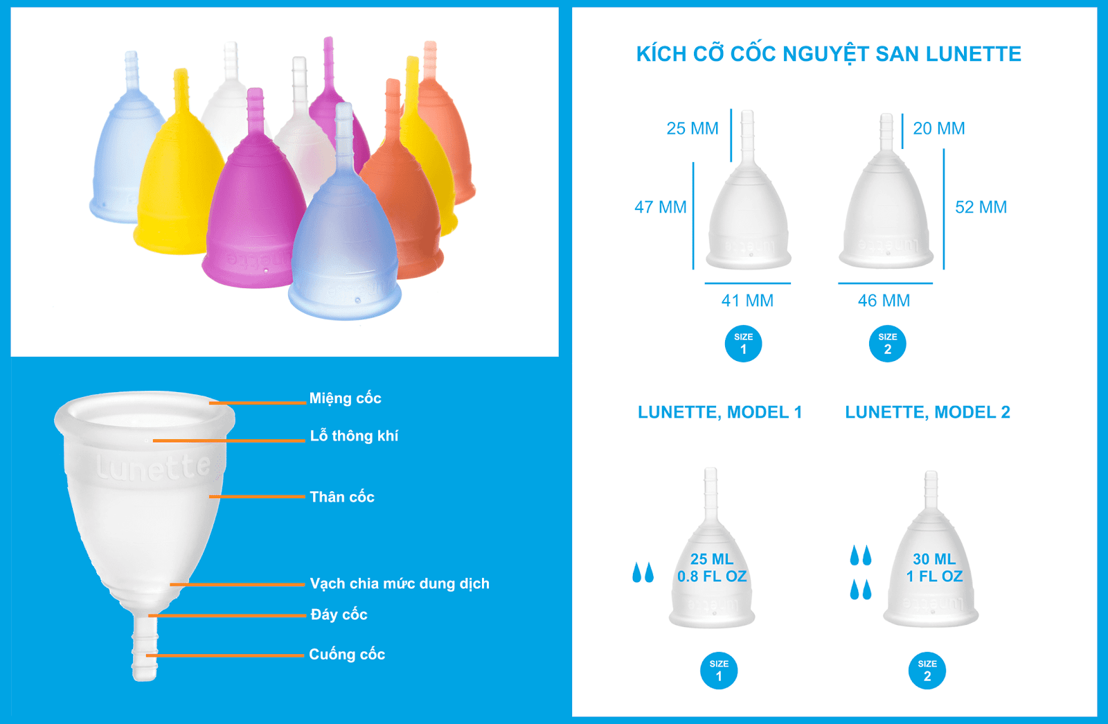 Kích thước Cốc nguyệt san Lunette
