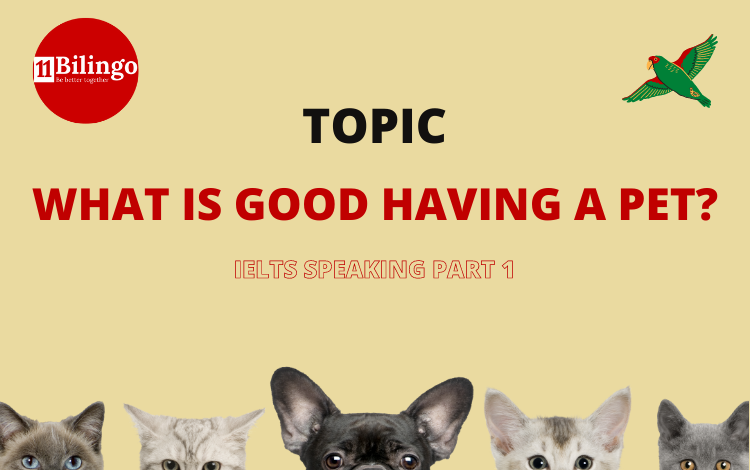 Ielts Speaking Part 1: Having a Pet Ielts Speaking Part 1: Having a Pet
