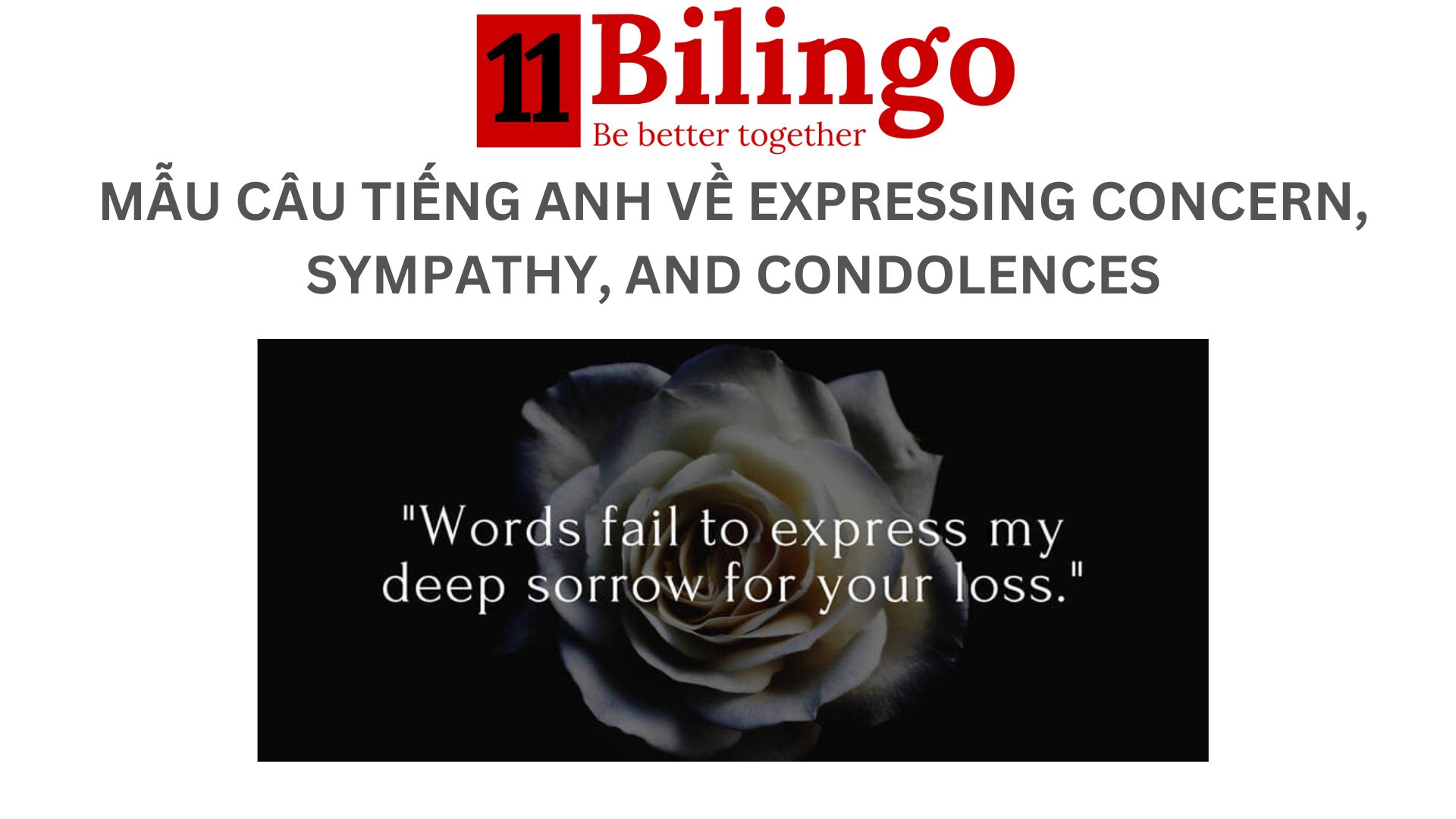 MẪU CÂU TIẾNG ANH VỀ EXPRESSING CONCERN, SYMPATHY, AND CONDOLENCES