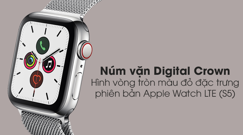 Apple Watch S5 LTE 40mm viền thép dây thép