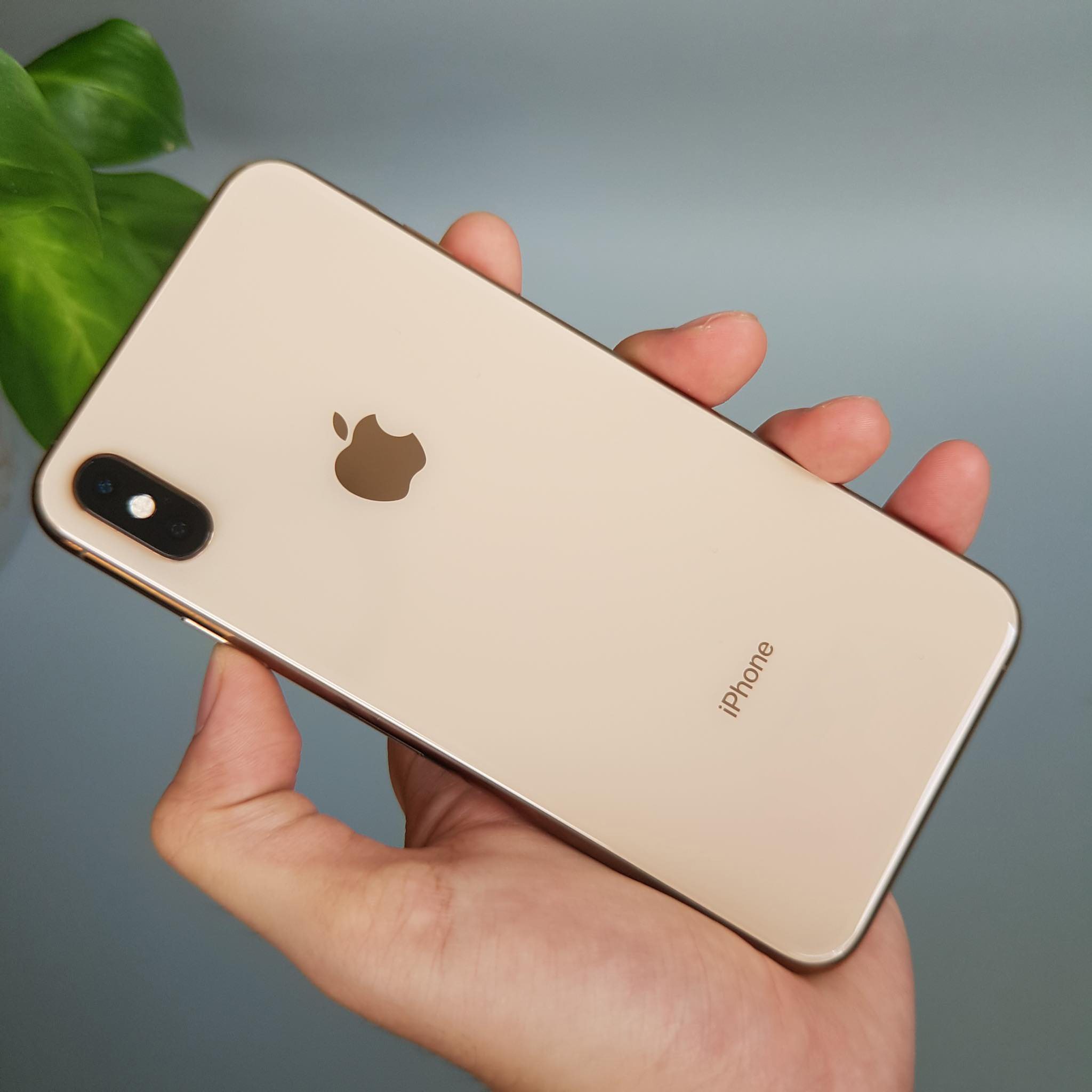 iPhone XS Max- 64GB- Quốc tế- 99%