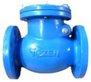 SWING CHECK VALVE CCV-B