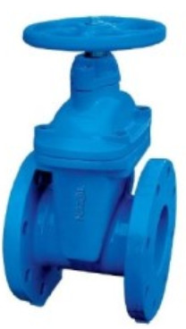 GATE VALVE (TYPE A) DRGV-B(A)