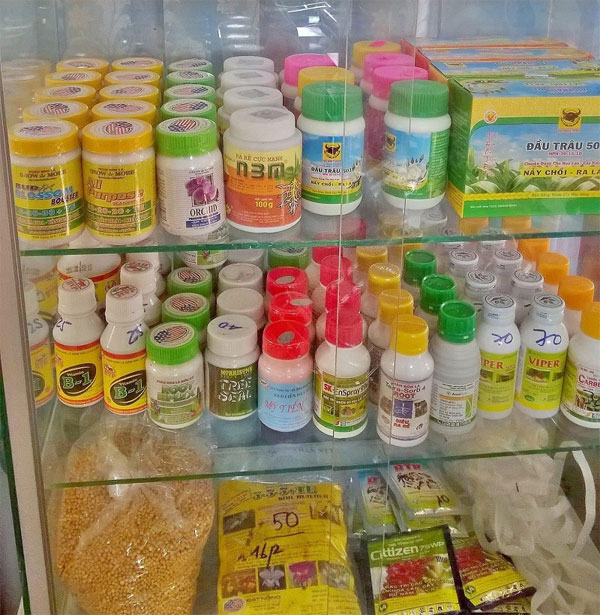 QUY TRÌNH CHĂM SÓC LAN GIỐNG