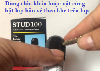 sử dụng stud 100
