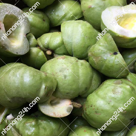 Quả tai chua