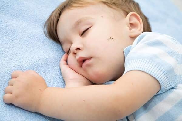 “MÁCH” BỐ MẸ CÁCH CHỐNG MUỖI HIỆU QUẢ CHO TRẺ EM VÀ TRẺ SƠ SINH