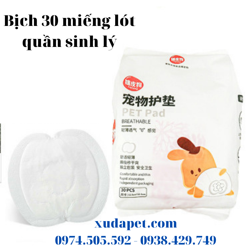 miếng lót quần sinh lý cho chó 