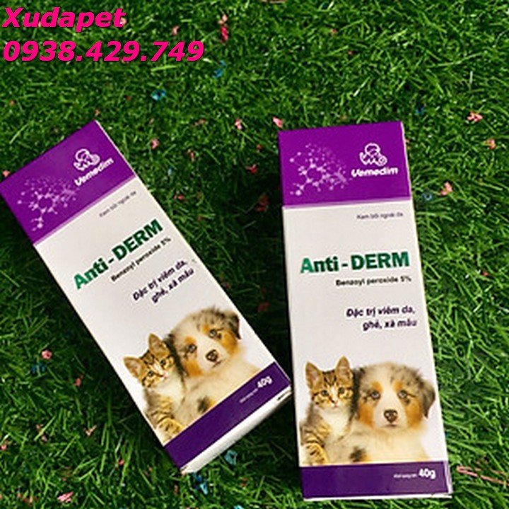 ANTI DERM - Thuốc đặc trị viêm da, ghẻ, xà mâu