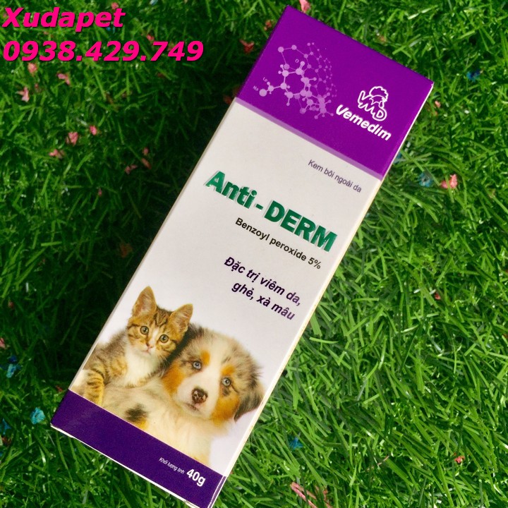 ANTI DERM - Thuốc đặc trị viêm da, ghẻ, xà mâu