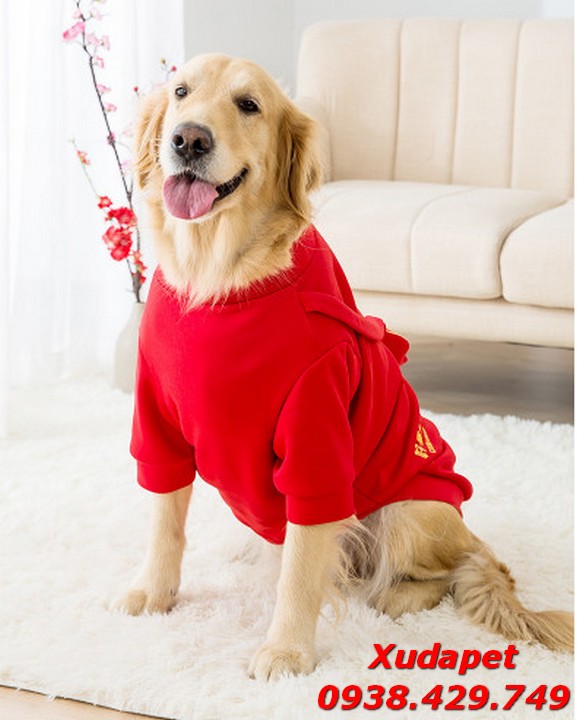 Áo Tết Đỏ Cho Chó Lớn Kèm Túi Lân