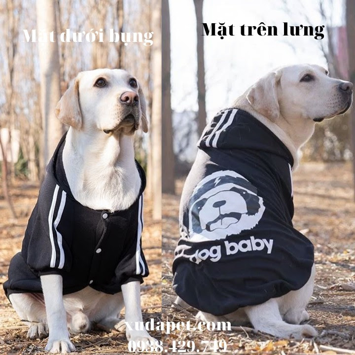 Áo Hoodie Cho Chó Lớn Dog Baby