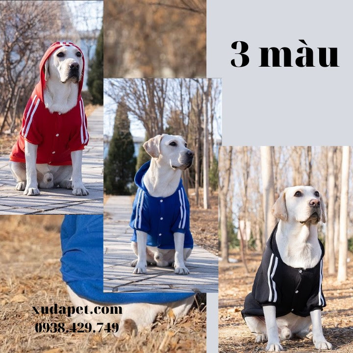 Áo Hoodie Cho Chó Lớn Dog Baby