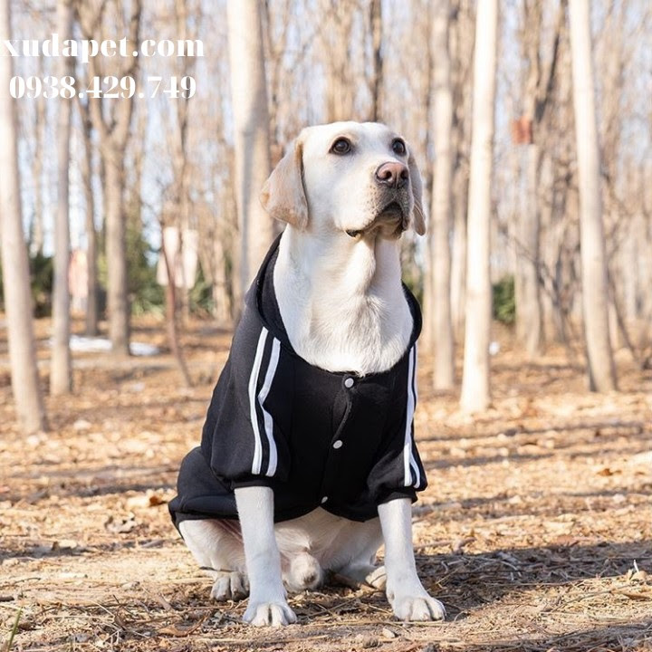 Áo Hoodie Cho Chó Lớn Dog Baby