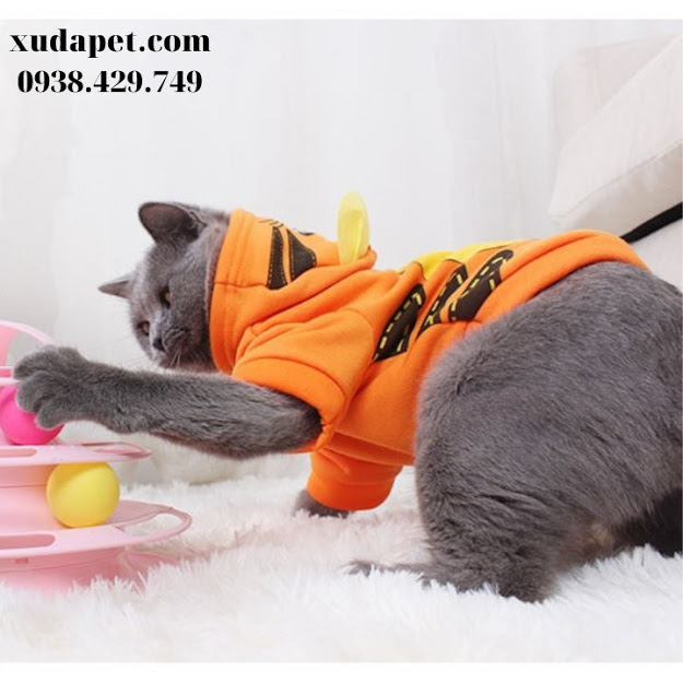 ÁO HOODIE HÌNH HỔ VẰN