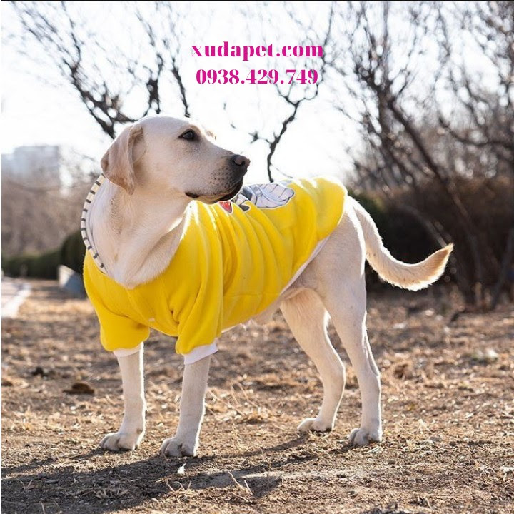 Áo Hoodie Vàng Hình Chó Pug Nón Sọc