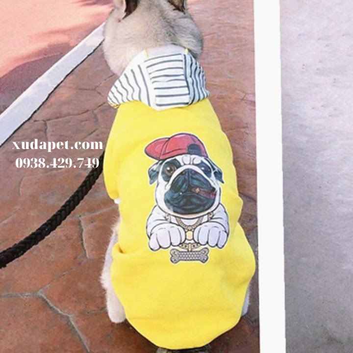 Áo Hoodie Vàng Hình Chó Pug Nón Sọc